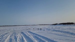 Рыбалка на Чукотке Лиса.