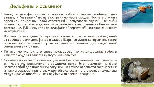 Использование животными орудий труда смотреть онлайн