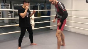 Simplest Defense vs the Oblique Kick (chassé frontal bas)