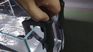 Лимонная тетра