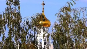 Церковь и Березы. Церковный Золотой Купол и Березы на Фоне Синего Неба. Футажи для видеомонтажа