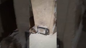 котел холмова из кирпича експерементальний