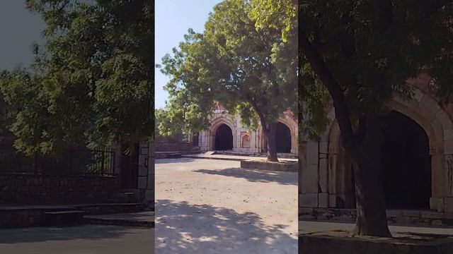 Старая заброшеная мечеть #дели #индия #династия #моголов