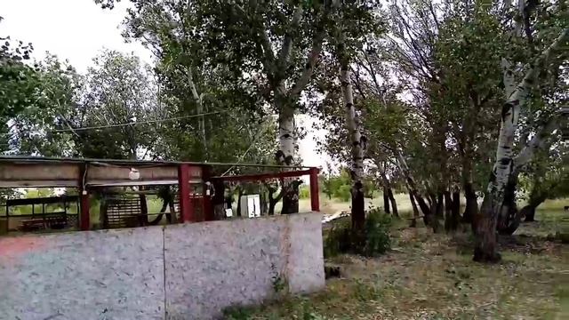 Где купаются местные жители Соль Илецка. Озеро Погорелое. Как доехать, обзор пляжа смотреть онлайн