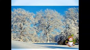 Растения зимой