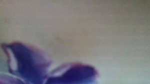 Кубанская казачья(К дому путь-дороженька далека, да трёхрядка рвёт меха,ох, лиха!)наброски)