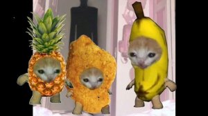 (в начале важная инфа) коты фрукты в закулисье ФИНАЛ