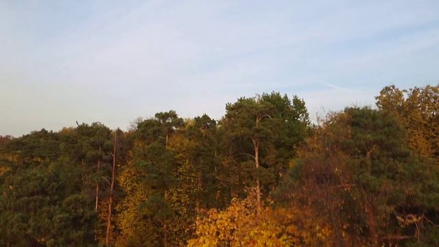 осенний парк с квадрокоптера, Левобережный район,Москва