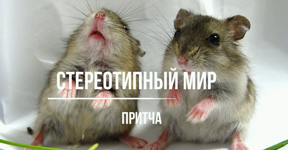 Стереотипный мир смотреть онлайн