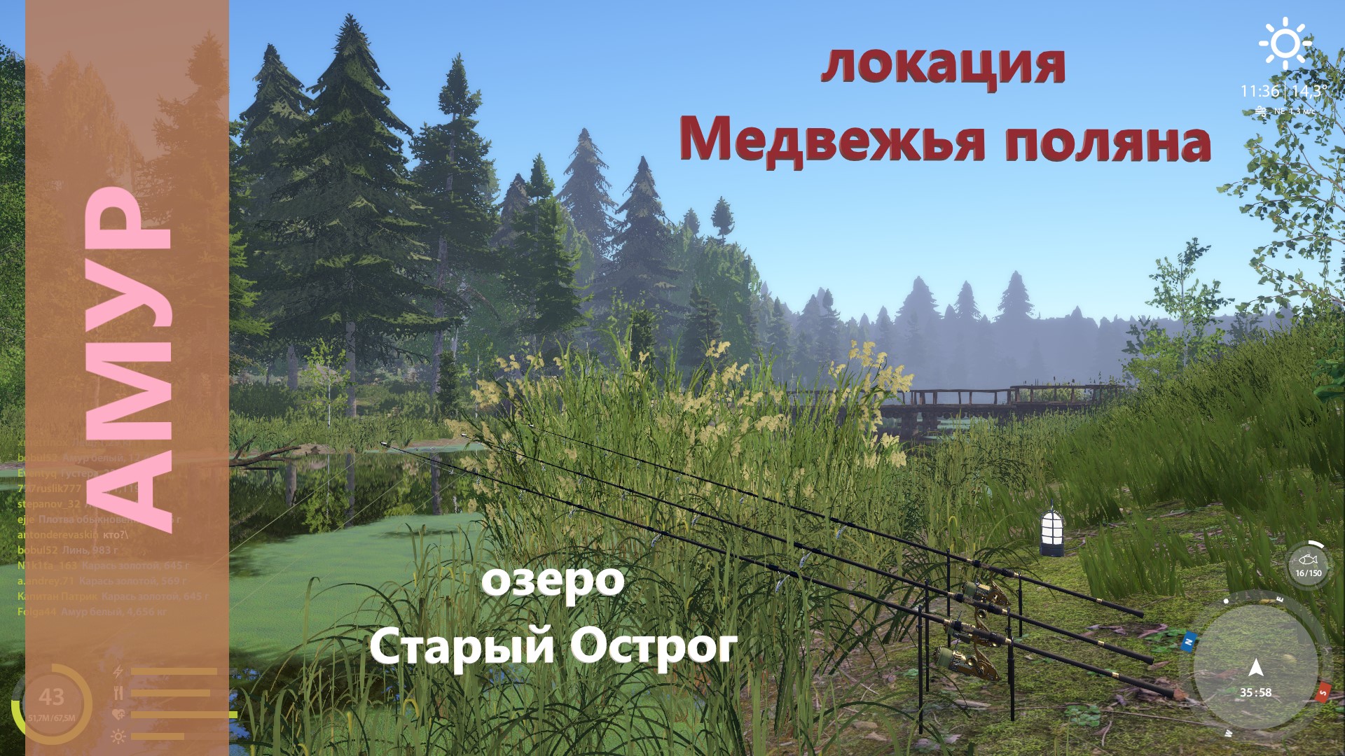 Русская рыбалка 4 - озеро Старый Острог - Амур белый у базы