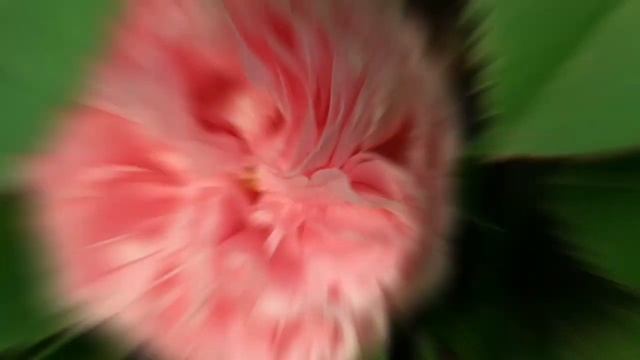 ?Милые Женщины и Девушки!С Праздником Вас от Души поздравляем!Только Счастливыми Быть Вам Желаем!? смотреть онлайн