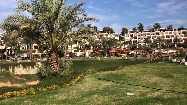 Египет. Обзор отеля Movenpick resort sharm el sheikh 5*