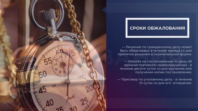 Не устроило решение суда: порядок обжалования смотреть онлайн