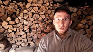 Как избавиться от короедов / важные нюансы и инструкция / магтоксин