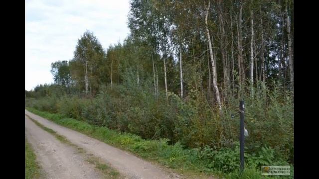 Дачный участок в Волоколамском районе, СНТ «Ма... смотреть онлайн