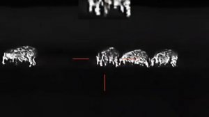 Guide TR430 реальная охота