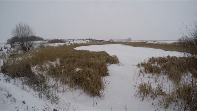 ДЕРЕВЕНСКИЙ ПРУД ЗИМОЙ - (16.01.2023) смотреть онлайн