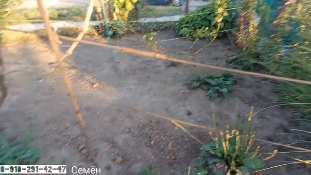 Продаётся КВАРТИРА 59.5 кв.м за 2 500 000 рублей,8 918 291 42 47, г.Гулькевичи  Краснодарский край