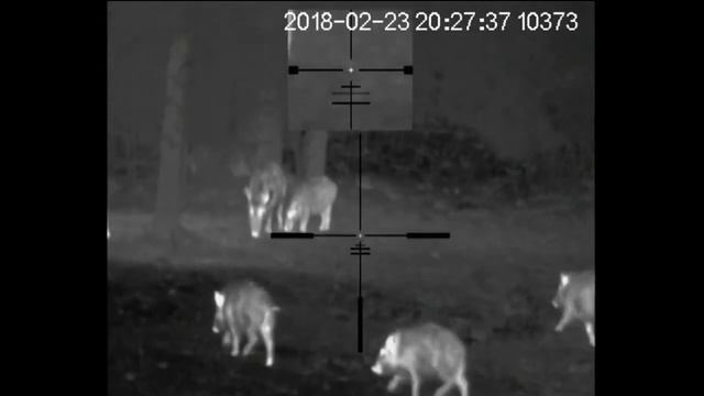 23.02.2018 сеголетки pig pulsar apex xd 75 lrf смотреть онлайн