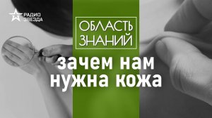 Где больше всего волос на теле человека? Лекция биолога Егора Мусина