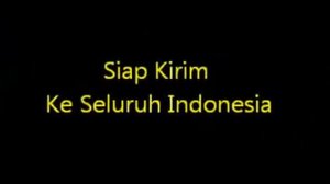 Jual Bibit Sukun di Denpasar Bali