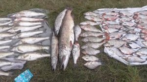 Улов браконьеров на Вилейском водохранилище