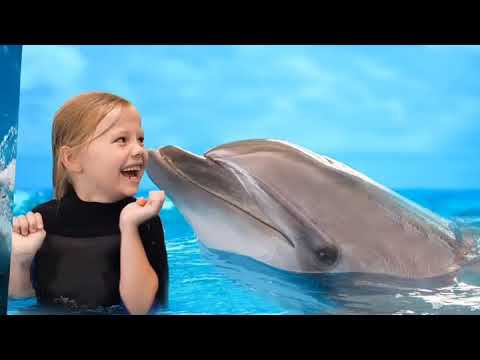 Дельфинарий "МОРСКАЯ ЗВЕЗДА"