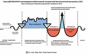 Этапы конфликтов и болезней