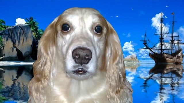 Капитаны. Открыватели новых земель, или Попутного ветра, amigo смотреть онлайн