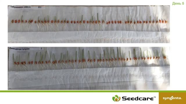 Дивиденд Суприм vs Тебуконазол смотреть онлайн