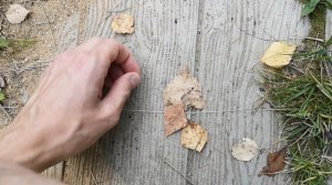 Обзор и тест самого маленького в мире дрона - 5 миллиметров!