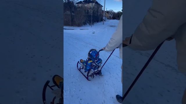 #весна#прогулка#санки#калининград#сын смотреть онлайн