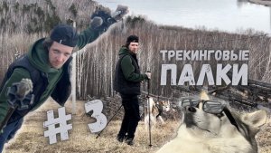 Трекинговые палки 3 | NIKAGOR | Гид