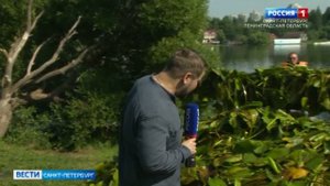 Специальная служба очищает водоемы от подводных сорняков