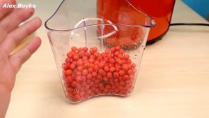 Что если выжать сок из Рябины? Какой он будет на вкус? Бедная соковыжималка! alex boyko