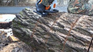 Test motorových pil Husqvarna 55 a Stihl MS 260 - Chainsaw Husqvarna 55 vs chainsaw Stihl MS 260