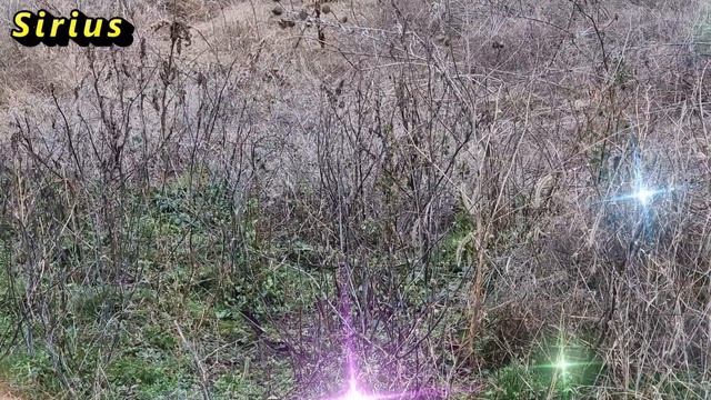 Что ждать знакам Зодиака 18 февраля смотреть онлайн