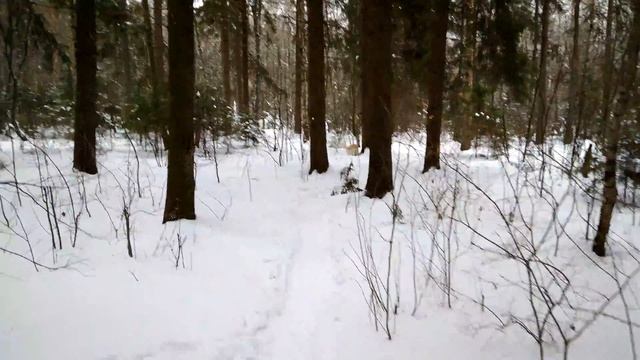 Тест записи 4K Video Xiaomi redmi 4 PRO Prime приложение Google камера смотреть онлайн