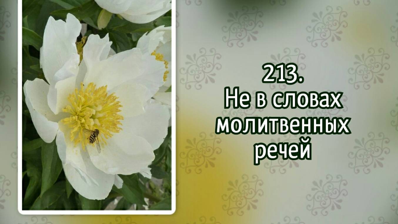 Гимны надежды 213 Не в словах молитвенных речей (-)