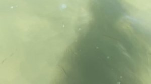 ЭКСТРЕМАЛЬНЫЙ ОТПУСК сколько денег мы тратим? Fast Sergey