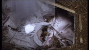 Cemetery Man (aka Dellamorte Dellamore) (1994) trivia bite.