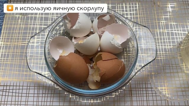 НАТУРАЛЬНЫЕ ПОДКОРМКИ! ДЛЯ РАССАДЫ И КОМНАТНЫХ ЦВЕТОВ