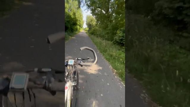 Я на ВЕЛОСИПЕДЕ | еду в ЛЕС В ГЕРМАНИИ часть 4 #природавгермании #велосипед #лесныеприключения