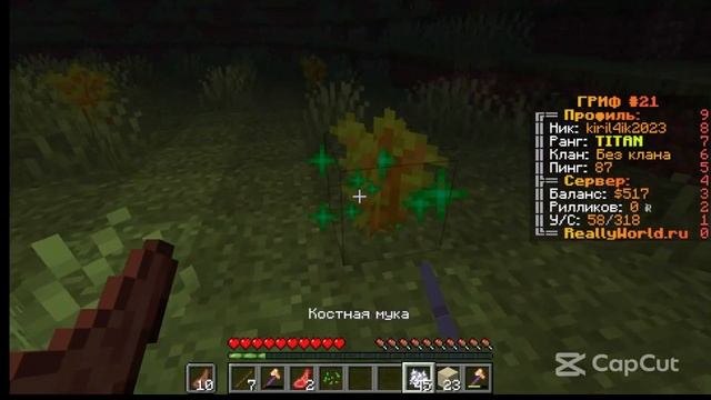 играю на сервере realy world прохожу джамшута серия 2 смотреть онлайн