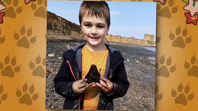 Мегаладон жив???? Видео которые стали подверждателями существование Мегалодона!!!