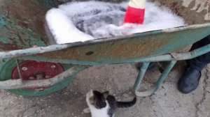 Натуральный персиковый  сок Азербайджанская Кухня Деревенская Кухня  Рецепты