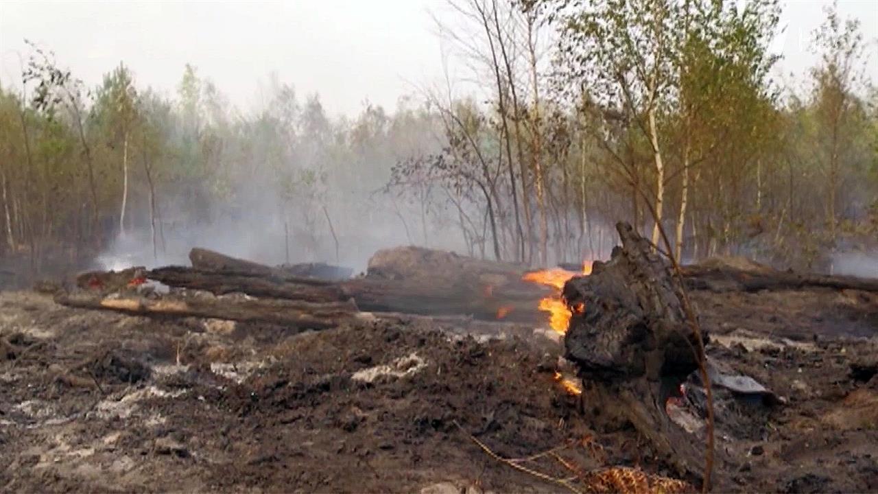 Основные очаги природных пожаров в Рязанской области не угрожают населенным пунктам