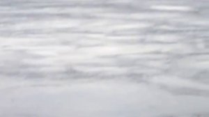 Амур в с. Екатерино-Никольское, 15.08.2013 г.