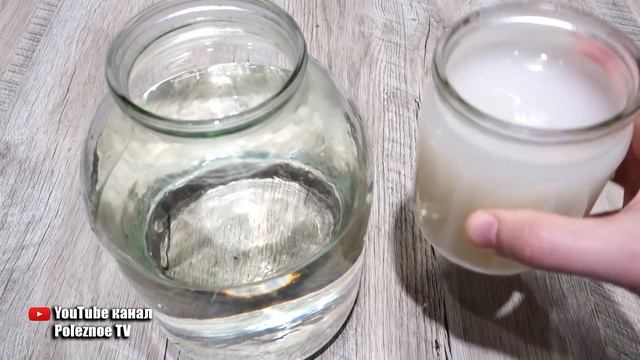 БУДЕТЕ СОБИРАТЬ ЗЕЛЕНЦЫ ВЕДРАМИ РАНЬШЕ СРОКА! ЛУЧШАЯ ПОДКОРМКА ДЛЯ РАССАДЫ ОГУРЦОВ