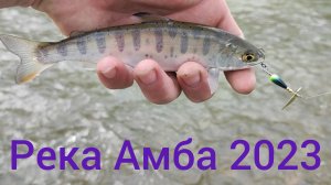 Рыбалка. Река Амба 2023. Хасанский район.